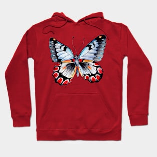 Butterfly Art On Hoodie